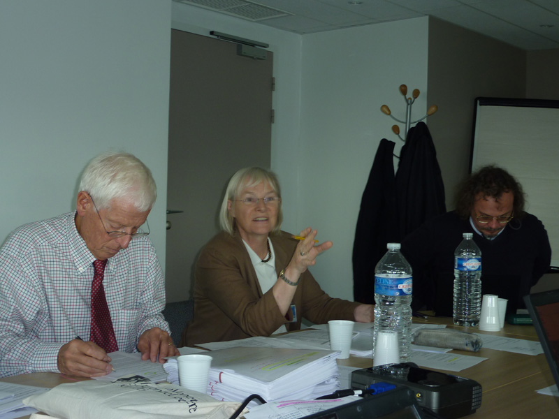 J. Mittelstrass, M. Buckingham, A. Verkhratsky